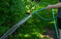 Watering the vegetable garden in the spring. garlic growing in rows. woman holding a hose and spraying on flowerbeds with a stream