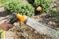 Watering water from a hose of various plants