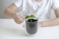 Watering a young plant. Love and protect nature concept. Caring for a new life. Climate change. Stop global warming. Royalty Free Stock Photo