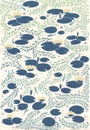 Waterlilies pattern