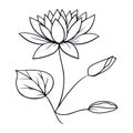 waterlily Coloring Pages, artistic decorative floral sketches, pretty flower coloring pages, hand drawn sketch water lily drawing