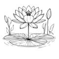 waterlily flower free printable silhouette design line art isolated on white backgrounds, tattoo outline water lily drawing