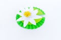 Waterlily flower made of paper. white background. Origami hobby. Gentle petal Royalty Free Stock Photo