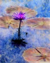Waterlily Painting Royalty Free Stock Photo