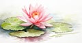 Waterlily red lily drawing abstract white painting horizontal tranquil illustration lotus reflection art background Royalty Free Stock Photo