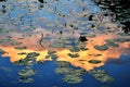 Waterlily reflection with Sunset light Royalty Free Stock Photo