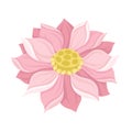 Waterlily Scaled Pink Flower With Petals Vector Illustration