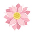 Waterlily Scaled Pink Flower With Petals Vector Illustration