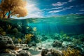 waterline showing underwater sea world background with coral reef and sunlight