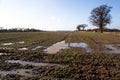 Waterlogged And Muddy Field Royalty Free Stock Photo