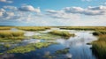 Arctic Wetland: A Stunning 8k Resolution Capture Of Miami Beach Marshes
