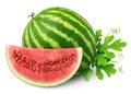 isolated watermelon