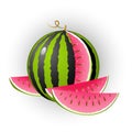 Watermelon