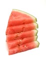 Watermelon Abstract