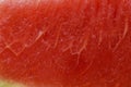 Watermelon abstract macro backgounds and textures