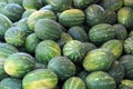 Watermelon background Royalty Free Stock Photo