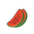 Berry - watermelon. Illustration of watermelon slices. Illustrations for postcards