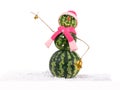 Watermelon christmas snowman with two golden bells in pink hat and scarf at snow. Holiday concept for New Years Royalty Free Stock Photo