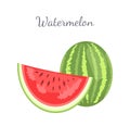 Watermelon Citron Melon Berry Ripe Tropical Fruit