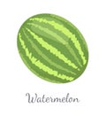 Watermelon Citron Melon Berry Ripe Tropical Fruit