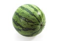 Watermelon, citrullus lanatus, Against White Background