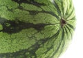 Watermelon, citrullus lanatus against White Background