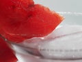 watermelon cocktail with ice cubes, close up