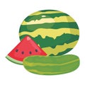 watermelon cucumber fresh food icon vector ilustrate