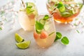 Watermelon and cucumber white wine sangria Royalty Free Stock Photo