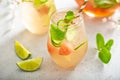 Watermelon and cucumber white wine sangria Royalty Free Stock Photo
