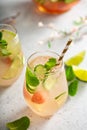 Watermelon and cucumber white wine sangria Royalty Free Stock Photo