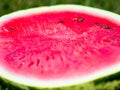 Watermelon cut along the close-up. Red, juicy, ripe. Summer berries and fruits. Summer. Healthy eating concept. Royalty Free Stock Photo