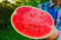 Watermelon in a cut in male hands in a summer garden .Fresh red watermelon half.Appetizing summer fruits.Healthy sweet Royalty Free Stock Photo