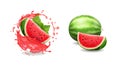 Watermelon 3d realistic , fruit in watermelon transparent red juice splash vector Royalty Free Stock Photo