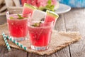 Watermelon drink in glasses Royalty Free Stock Photo