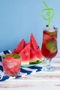 Watermelon drink with ice and watermelon slices. Royalty Free Stock Photo