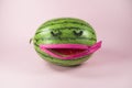Watermelon with fake eyelashes and zipper mouth. On trendy soft pink background