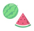 Watermelon flat cartoon vector illustration. Vegetarian and ecology food. Healthy food. Sweet water melon. Tropical fruits. White