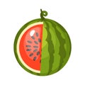 Watermelon in flat design. . Summer icon