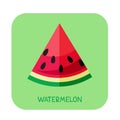 Watermelon flat-01