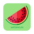 Watermelon flat-03