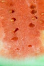 Watermelon flesh texture