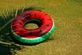 Watermelon Float Grass Tropical Leaf shadow Background Royalty Free Stock Photo