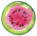 Watermelon fruit. Circle watercolor painted button background.
