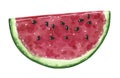 Watermelon fruit, half slice, watercolor illustration Royalty Free Stock Photo