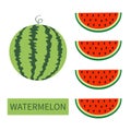 Watermelon fruit icon set. Round water melon. Red slice with seeds in a row. Cut half. Healthy food. Flat lay design. Bright color Royalty Free Stock Photo