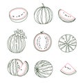 Watermelon Fruit Selection Vector Line Drawing on White Background