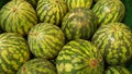 Watermelon. Fruit and vegetable shop. Watermelons Royalty Free Stock Photo