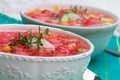 Watermelon Gazpacho Royalty Free Stock Photo