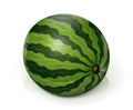 Watermelon. Green juicy fruit